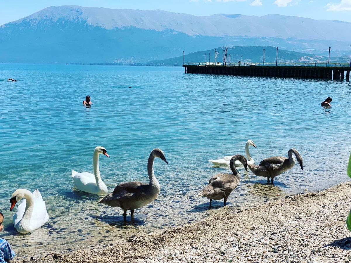 Syzo Apartments Pogradec Bagian luar foto